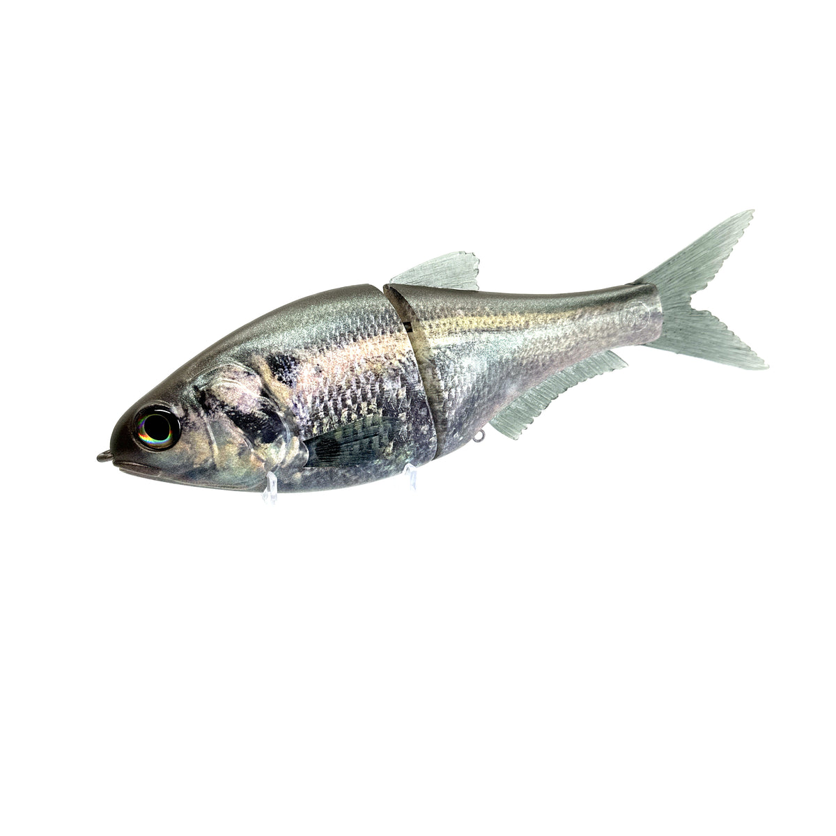 Andromeda - Green Gizzard – 86 Baits Andromeda - Green Gizzard – 86 Baits