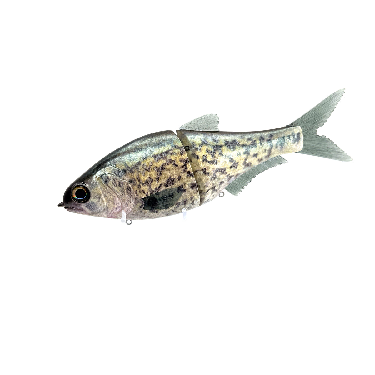 BC50469B-9577-4555-BB6B-