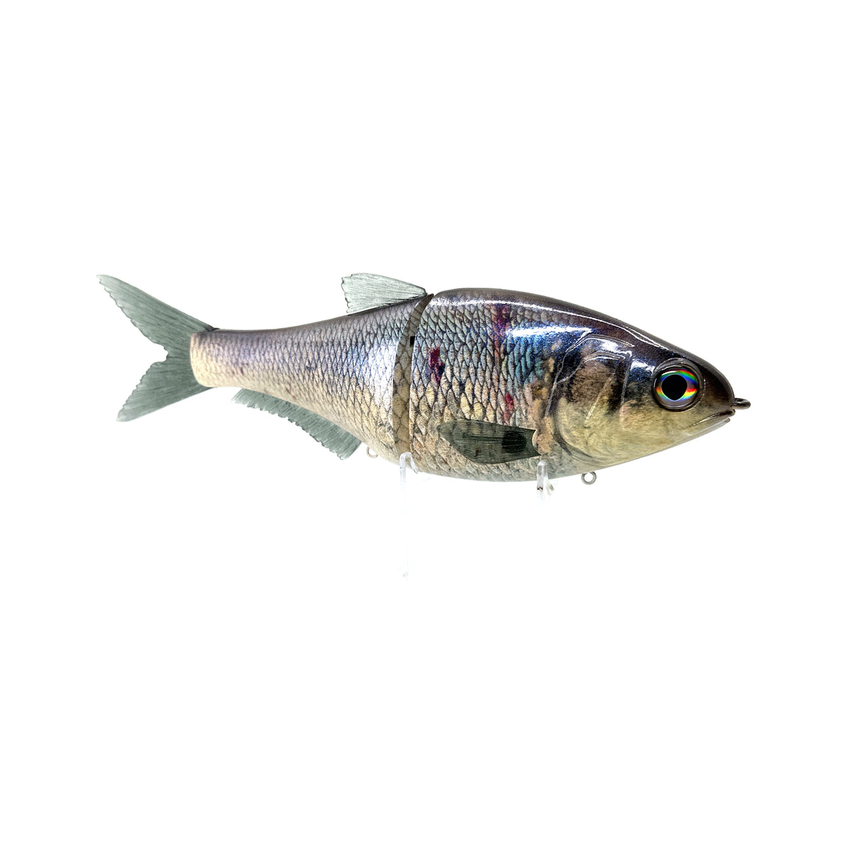 Andromeda - Trophy Scars – 86 Baits