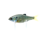 Failsafe - Female Gill