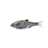 Failsafe - Male Gill