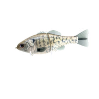 Sentinel - White Crappie – 86 Baits
