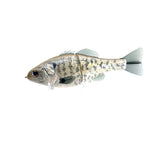 Sentinel - White Crappie