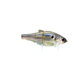Passenger - Threadfin