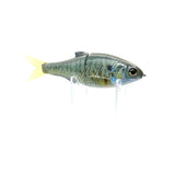 Failsafe - Female Gill