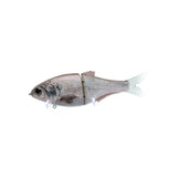 Failsafe - Purple Gizzard(Grey Tail)