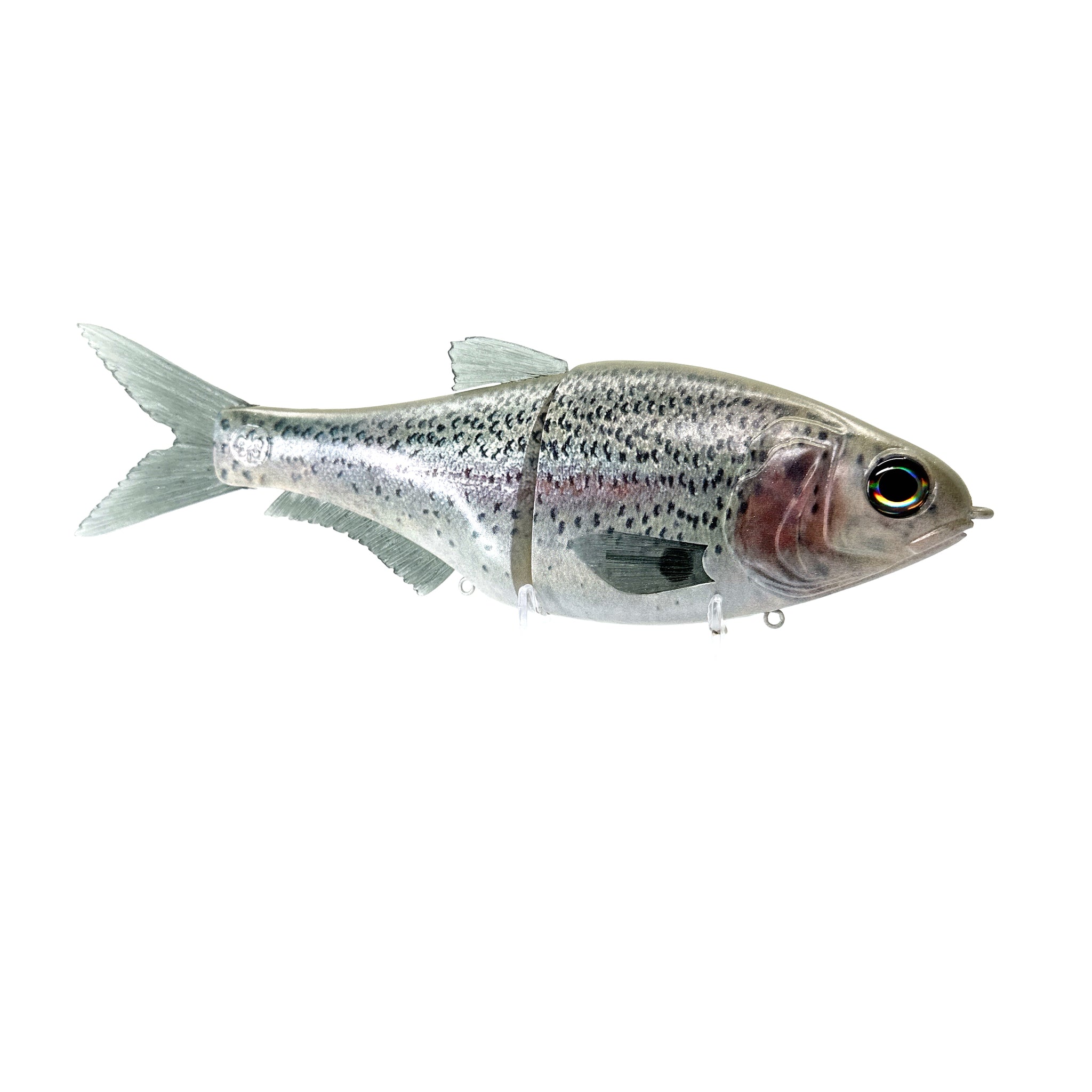 HOME PAGE – 86 Baits