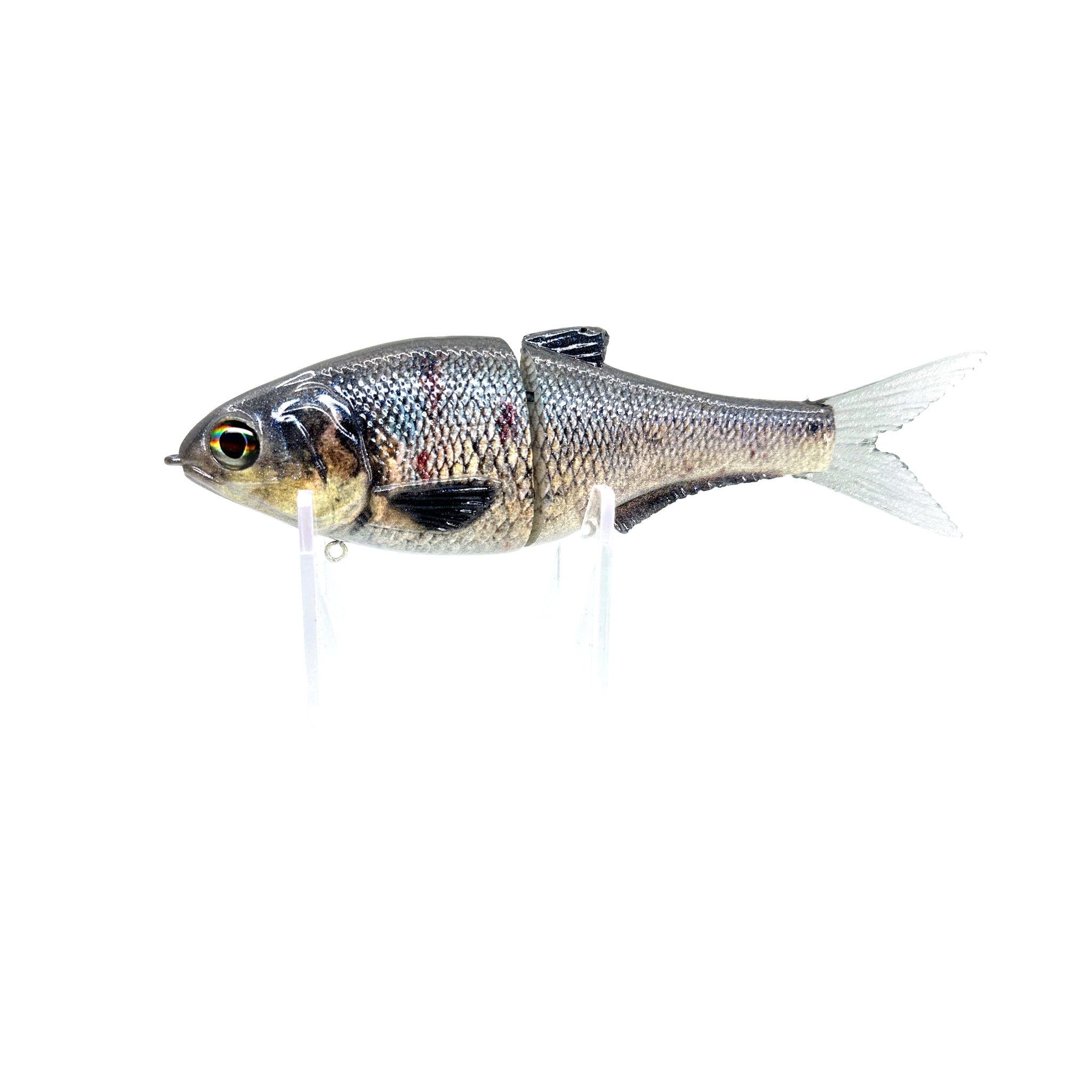 HOME PAGE – 86 Baits