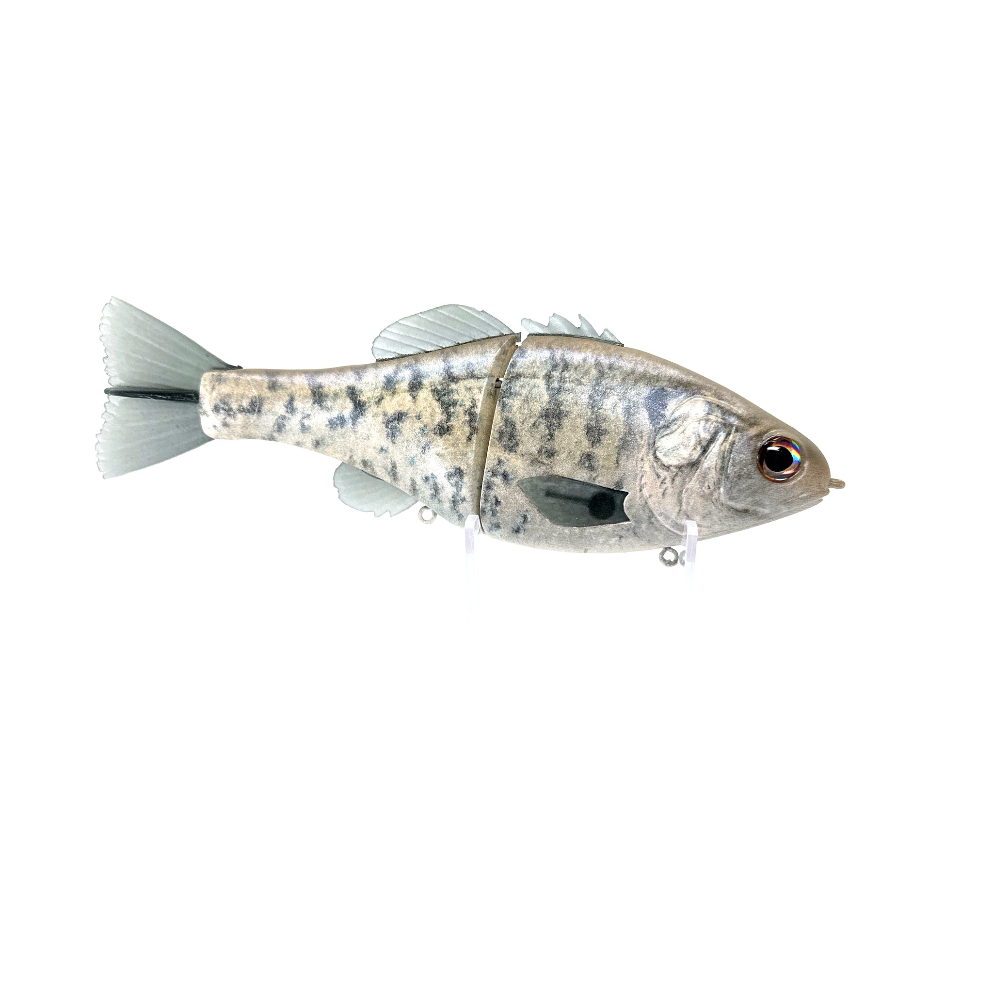 SWIMBAIT SIGNAL + QUEUE DE RECHANGE SWIMBAIT SIGNAL + QUEUE DE RECHANGE