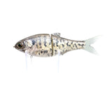 Failsafe - White Crappie