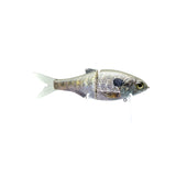 Failsafe - Male Gill